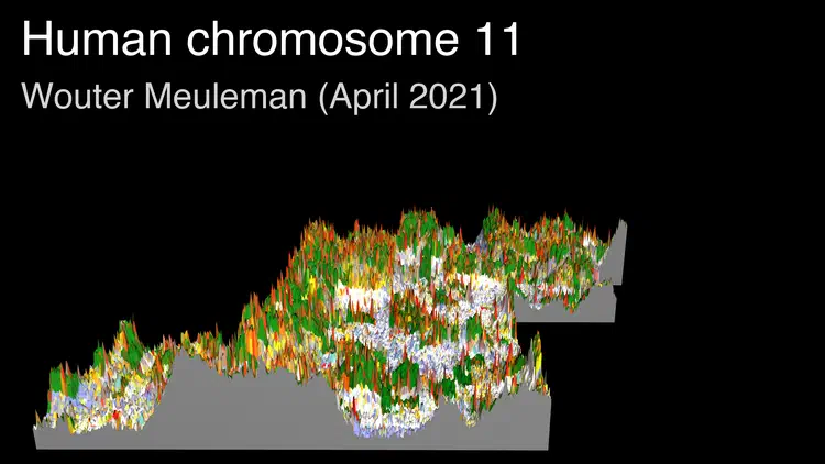 thumbnail_chr11.png