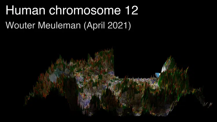 thumbnail_chr12.png