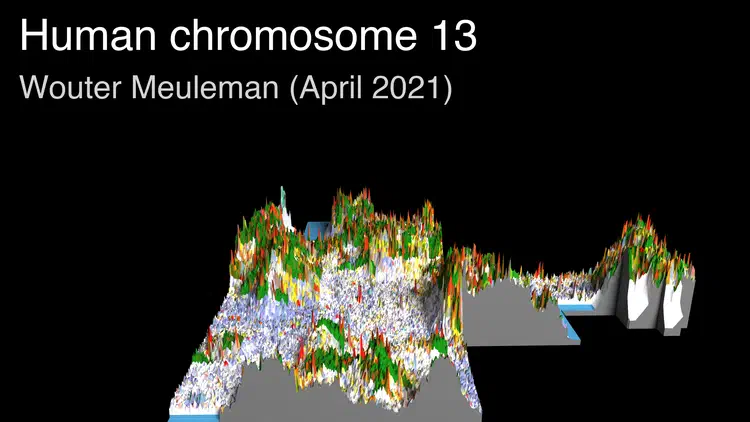 thumbnail_chr13.png