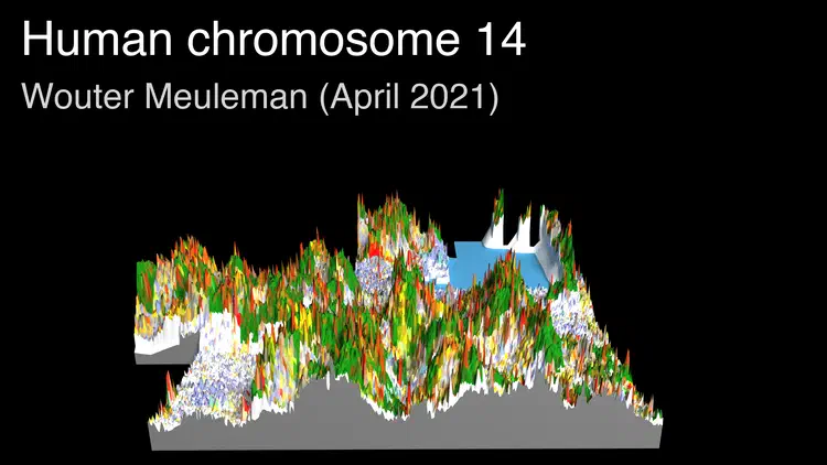 thumbnail_chr14.png