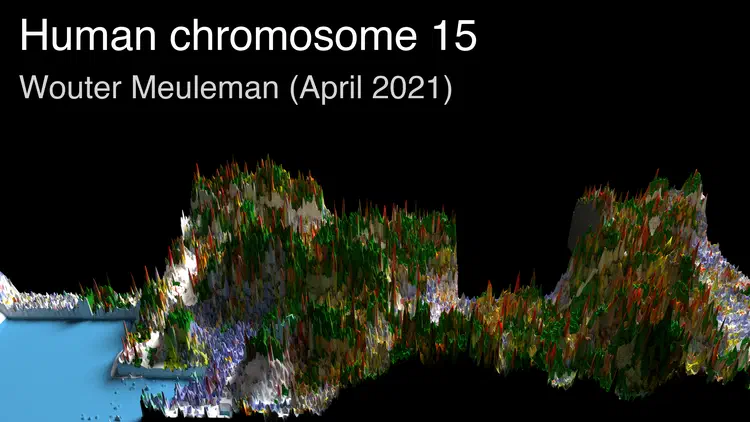 thumbnail_chr15.png