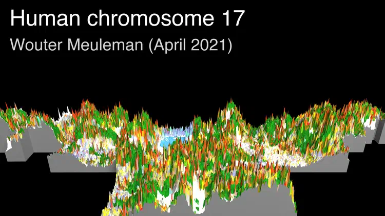 thumbnail_chr17.png