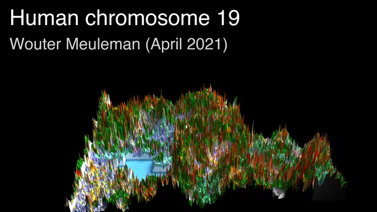 thumbnail_chr19.png