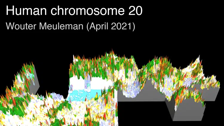 thumbnail_chr20.png