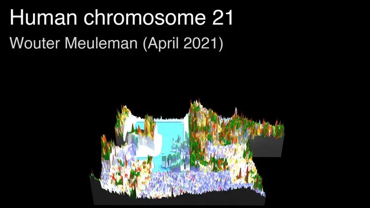 thumbnail_chr21.png
