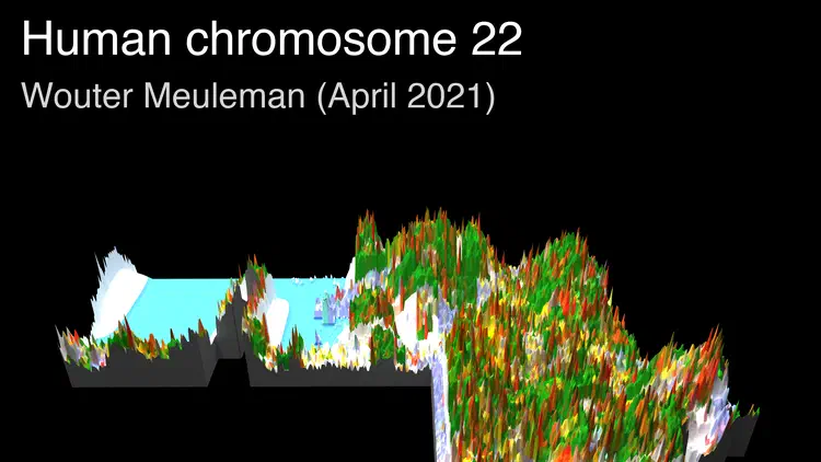 thumbnail_chr22.png
