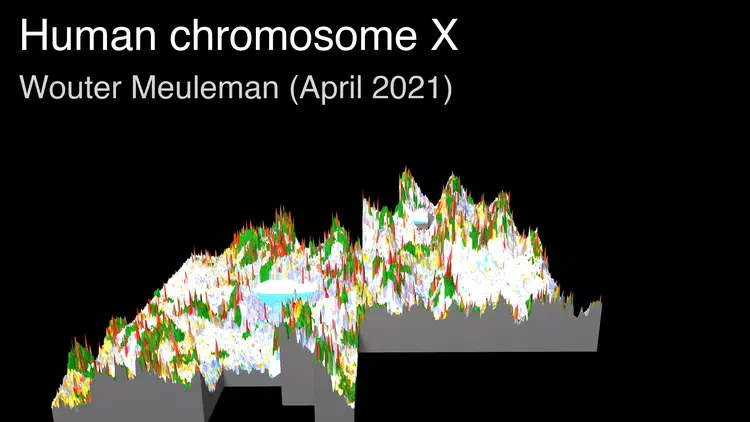 thumbnail_chrX.png