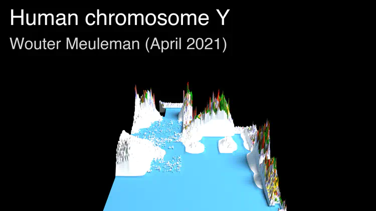 thumbnail_chrY.png