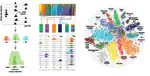 Annotated regulatory Index